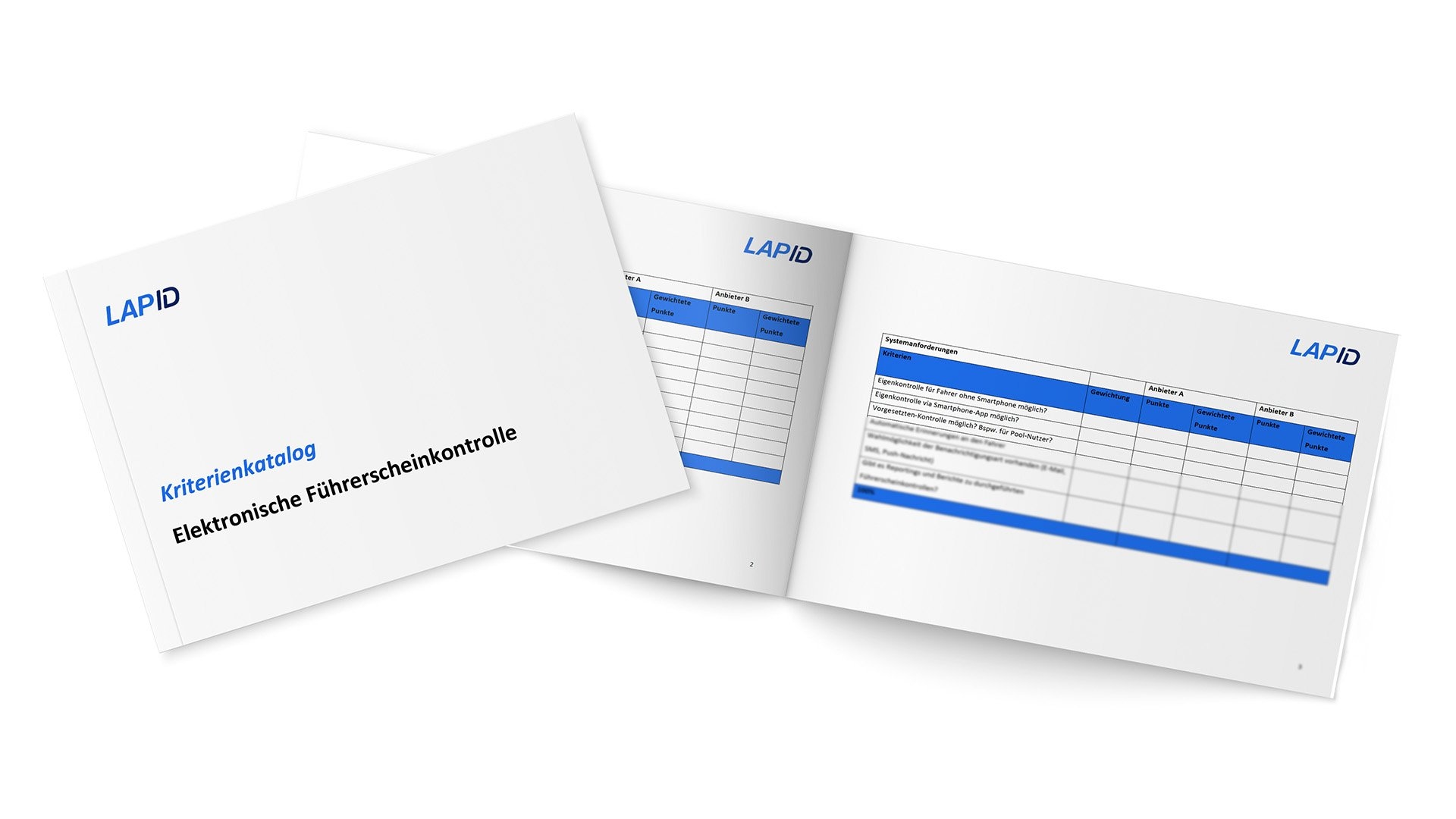 Kriterienkatalog Führerscheinkontrolle